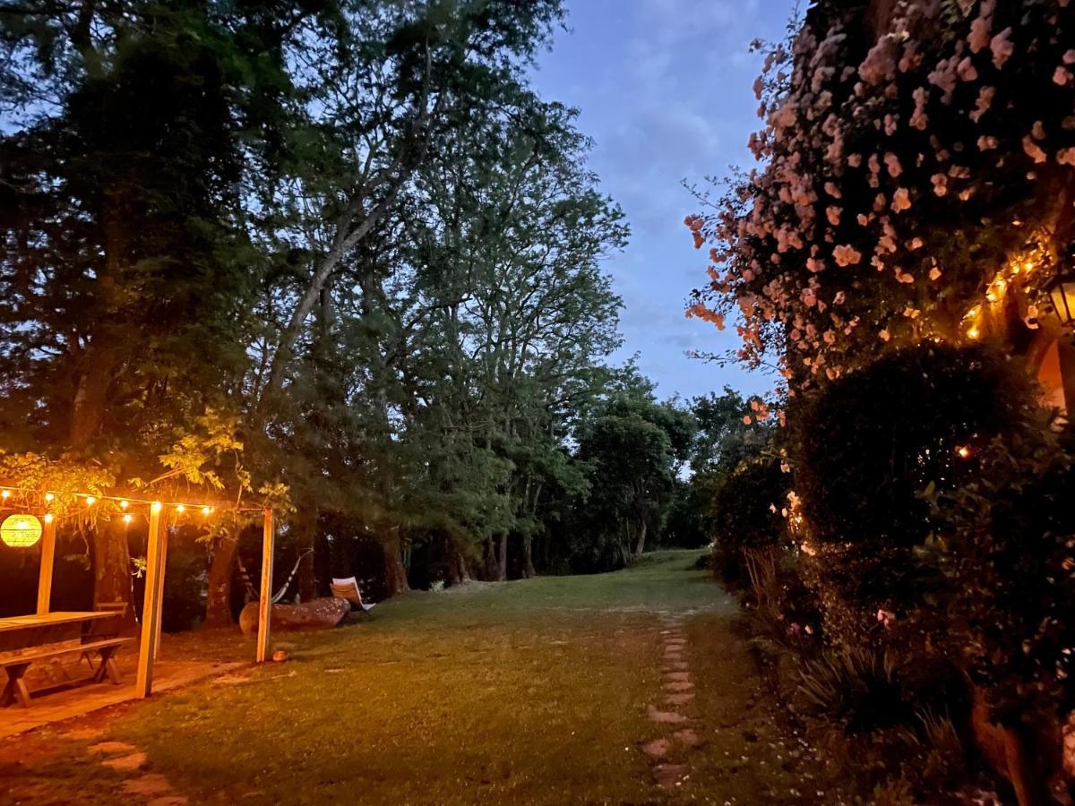 ボルセーナ Collina Blu Bed & Breakfast エクステリア 写真