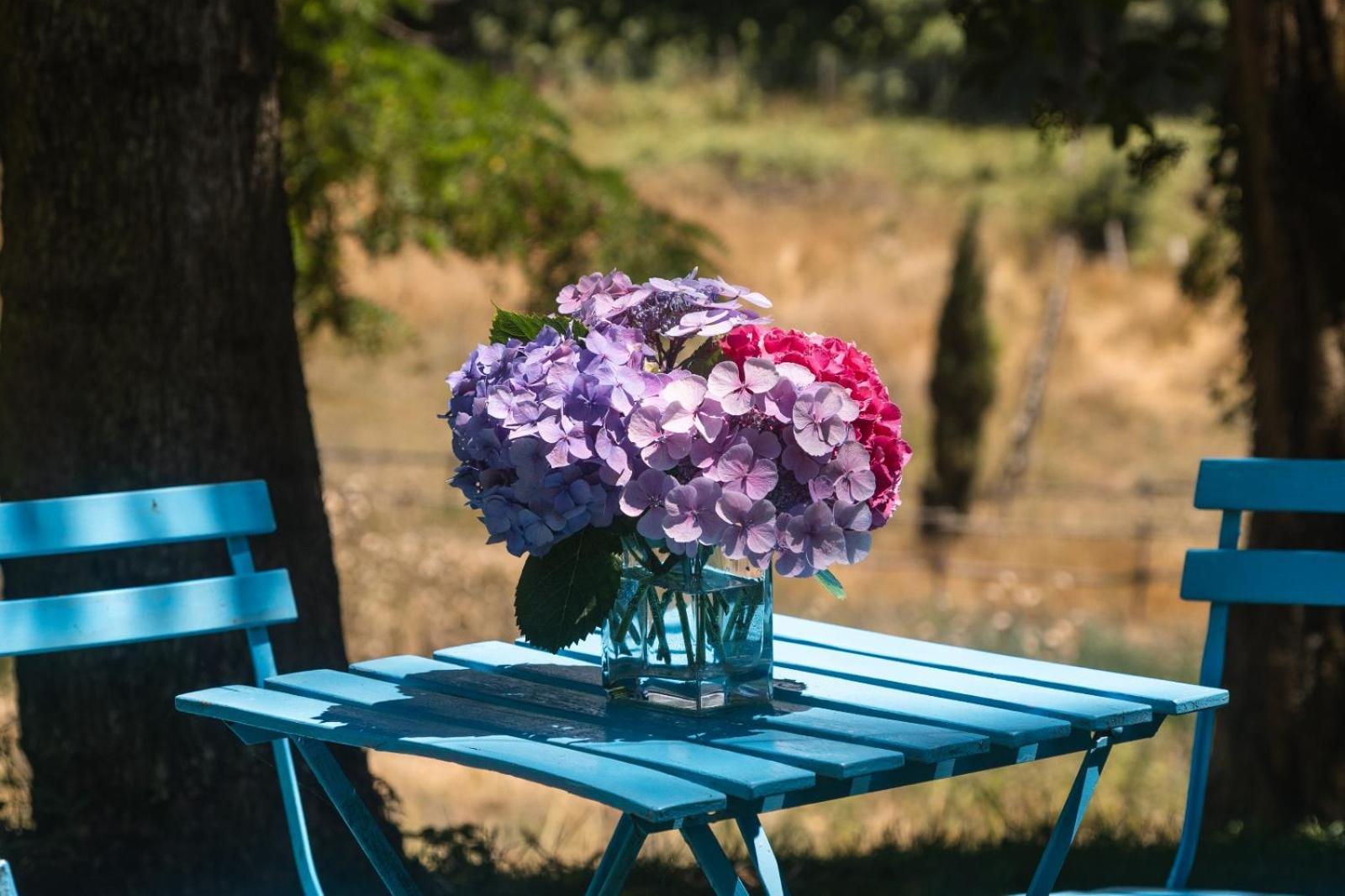 ボルセーナ Collina Blu Bed & Breakfast エクステリア 写真